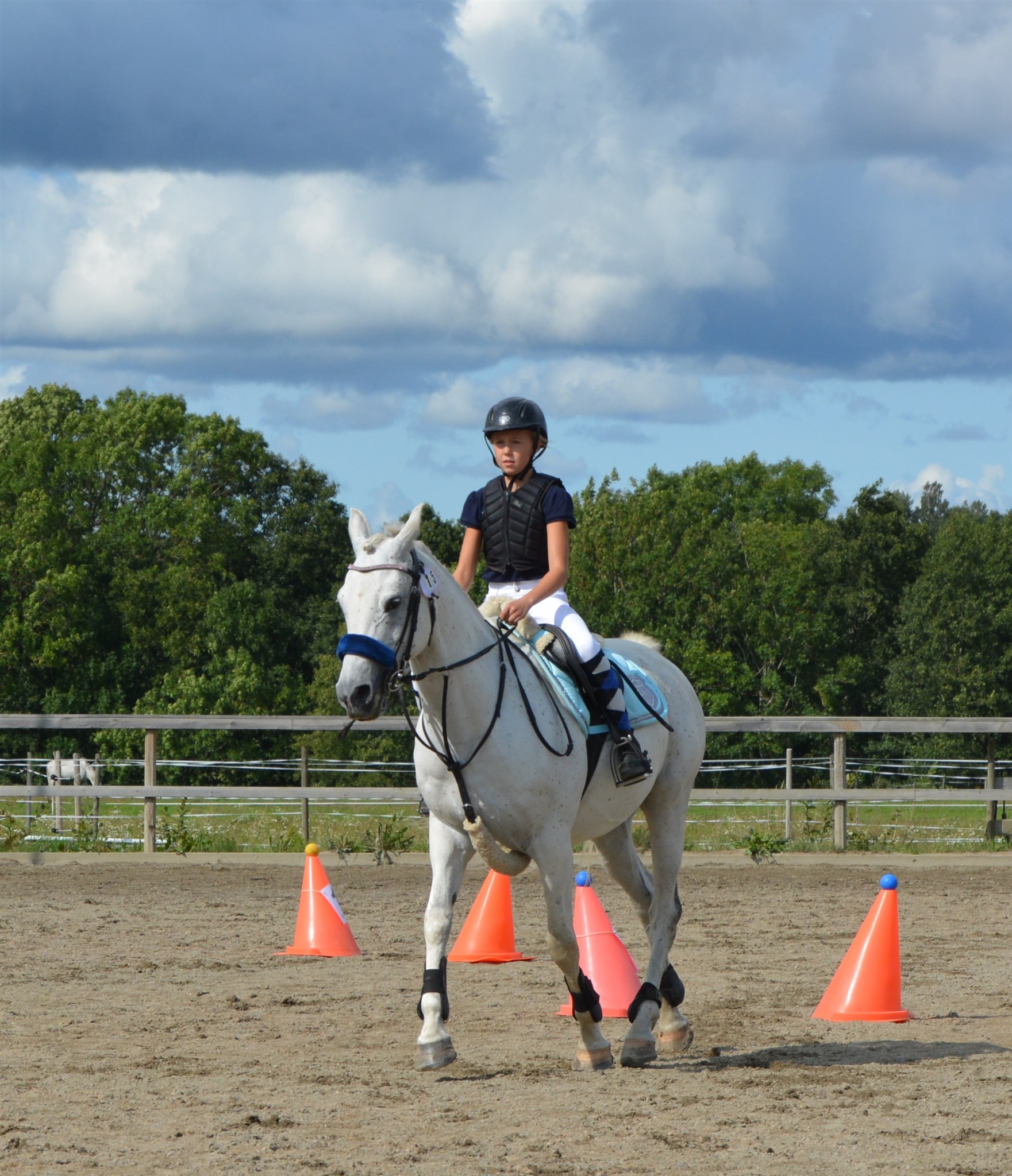 Johanna Pettersson - Schakir 0864.JPG