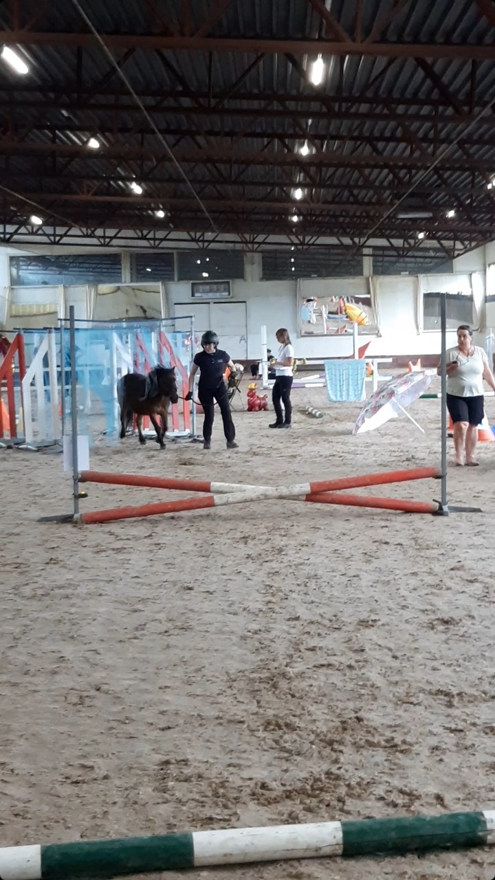 Baronessan_Sara_Thunqvist_foto_Anna-Karin_Thunqvist.jpg