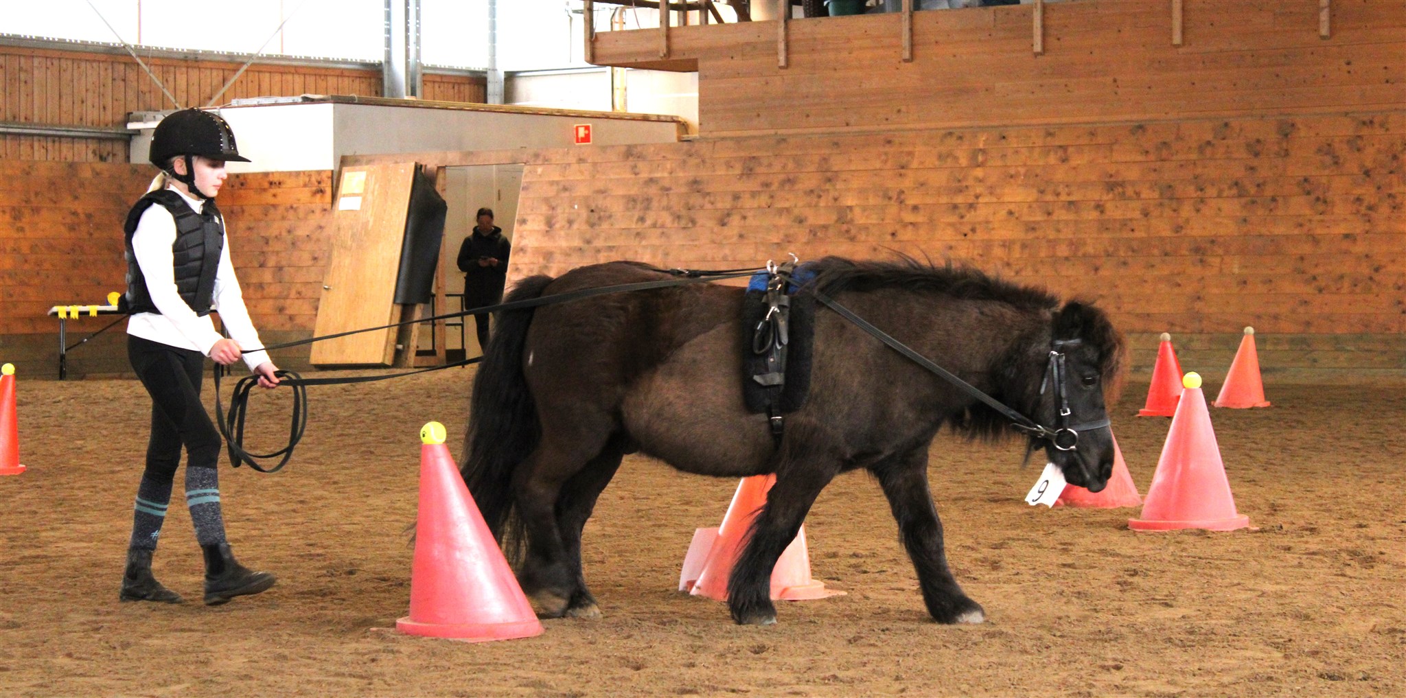 Linnea Axelsson_LillPrinsen.JPG