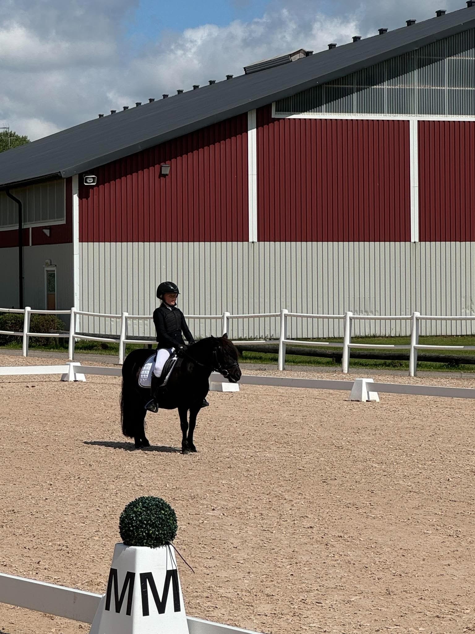 My_wåhlin_Dalsgårds_olympia Karin Alexandersson. II.jpg
