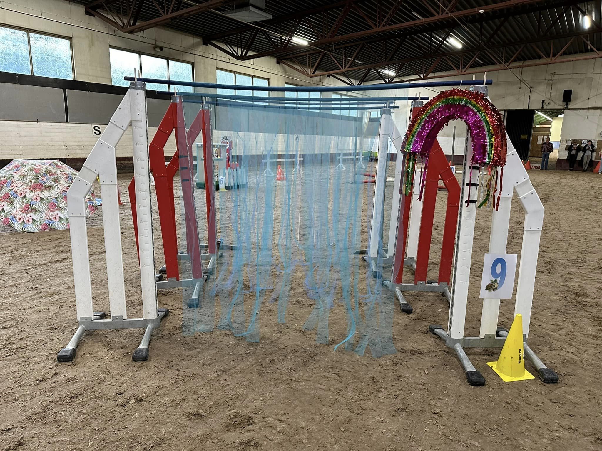 agility Anna_Carlsson.jpg