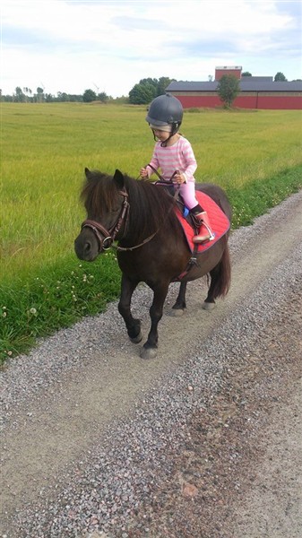 Felicia 3,5 år Skattens Wijette Foto. Cecilia Grolander.jpg