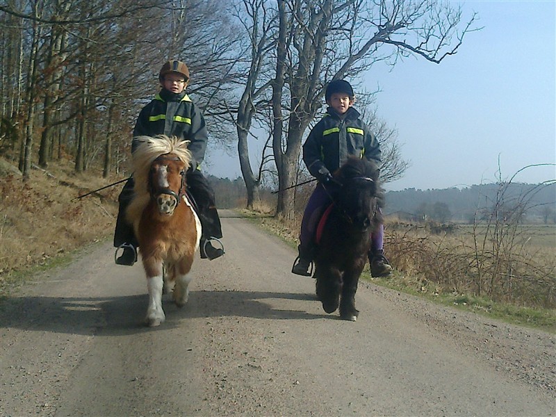 V12. Peggy och Mysan med ryttare.jpg