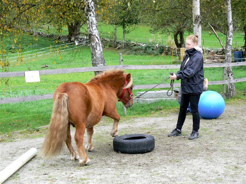 Elsa och Zahir.JPG