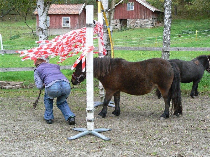 Fia i banden.JPG