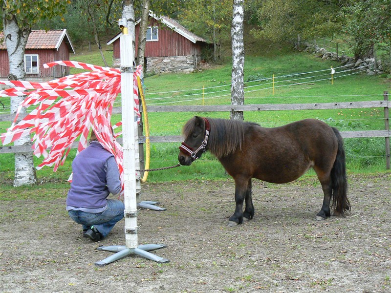 Fia och Annica.JPG