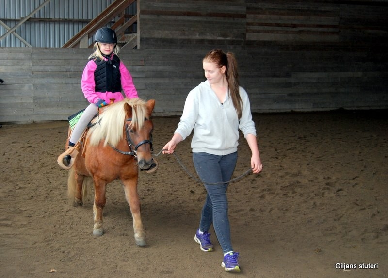 Meya på Giljans Evie-ledare Elsa.jpg