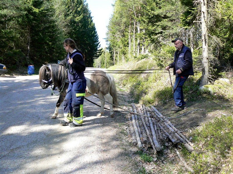 Otto, Annica och Jörgen.JPG