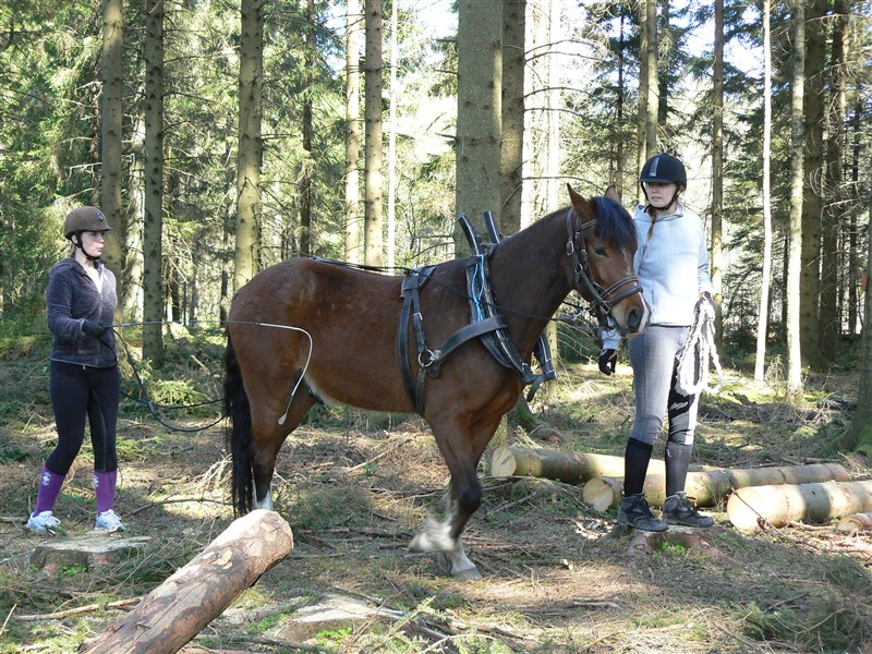 Sir Walter med Lisa och Katrin Falk.JPG