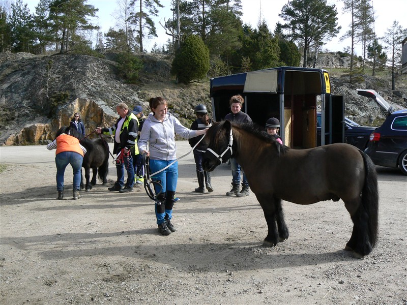 Visningskurs U-a 19 april -15.JPG