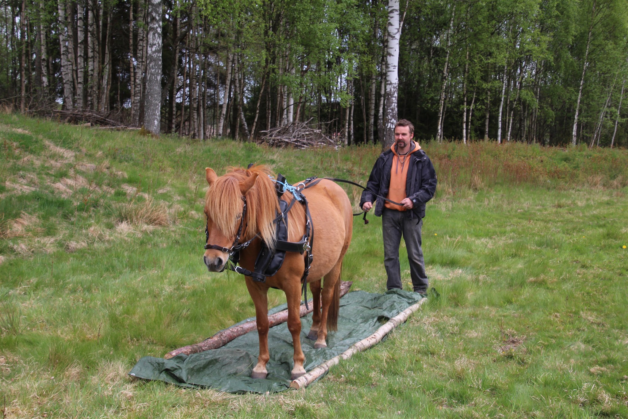 Draba och Jörgen.JPG